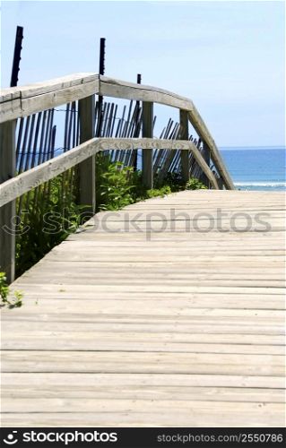 Wooden path over sand dunes with ocean view