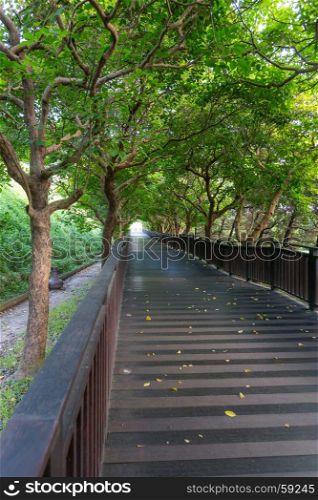Wooden pathway in green garden park