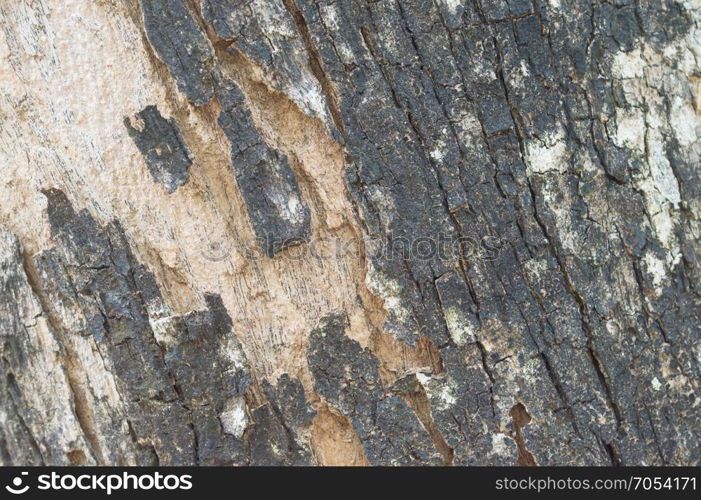 wooden pattern background