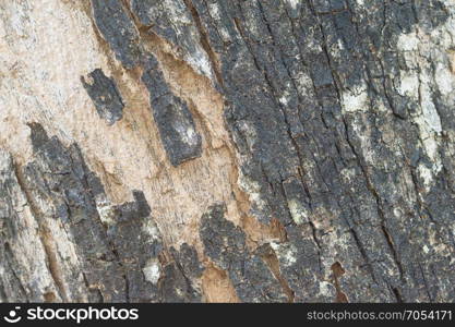 wooden pattern background