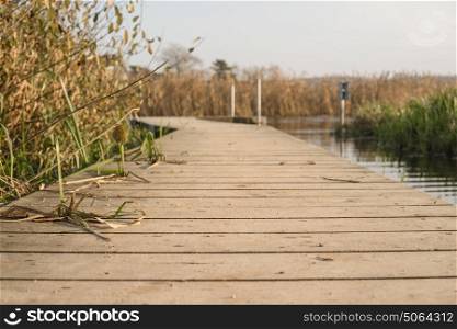 Wooden pier by a lake in autumn with planks of tree near the water surrounded by reeds