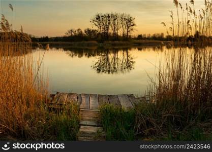 Wooden pier in the lake and reflection of trees in the water, Stankow, Lubelskie, Poland