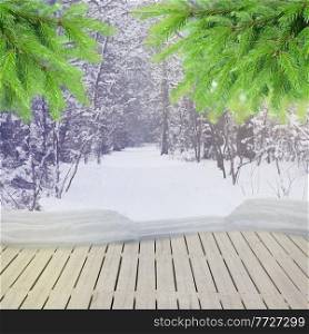 wooden planks in winter  forest  with   evergreen fir tree. winter forest