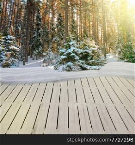 wooden planks in winter forest with evergreen tree and snow. wooden planks in winter