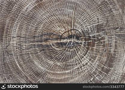 Wooden plate close up background
