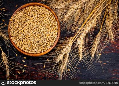 Wooden plate with barley grains. Top view. On a dark background.. Wooden plate with barley grains. Top view.