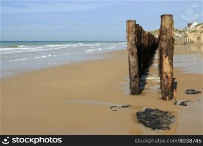 Wooden poles as wave breaker at the French coast