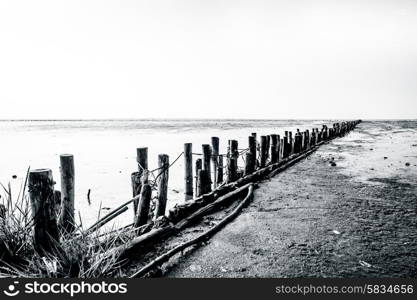 Wooden poles on a low tide beach