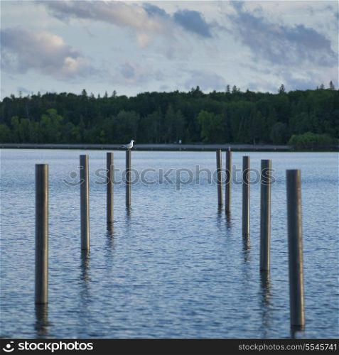 Wooden posts in the lake, Lake Winnipeg, Riverton, Hecla Grindstone Provincial Park, Manitoba, Canada