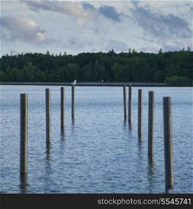 Wooden posts in the lake, Lake Winnipeg, Riverton, Hecla Grindstone Provincial Park, Manitoba, Canada