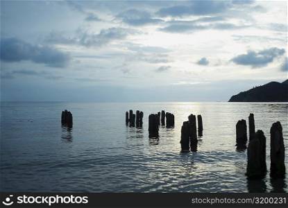 Wooden posts in the sea, Taganga Bay, Departamento De Magdalena, Colombia
