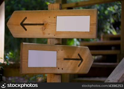 Wooden road sign with two opposite arrow directions with blank copy space