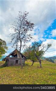 wooden rotten barn on autumn mountainside (Carpathian. Ukraine)