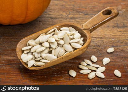 wooden rustic scoop of pumpkin seeds against grunge wood