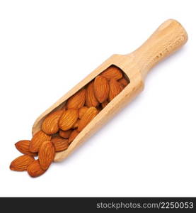 Wooden Scoop full of Almond nuts isolated on a white background. High quality photo. Wooden Scoop full of Almond nuts isolated on a white background