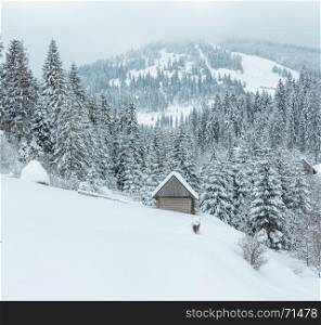 Wooden shed and snowy fir trees on winter slope of Ukrainian Carpathian Mountains in cloudy weather. Two shots stitch image.
