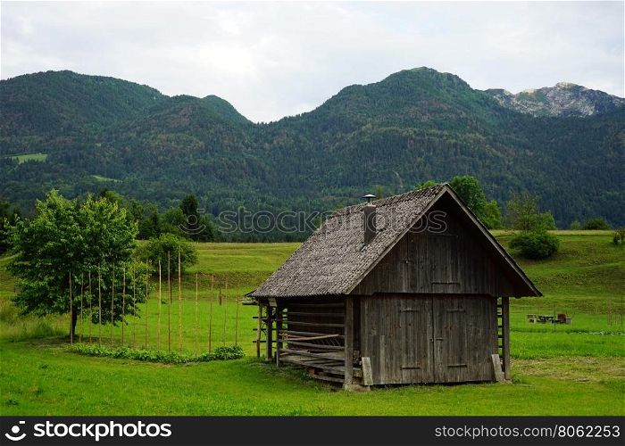 Wooden shed and tree in Slovenia