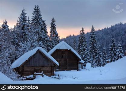 Wooden sheds and fir forest behind on winter slope in evening Ukrainian Carpathian Mountains.