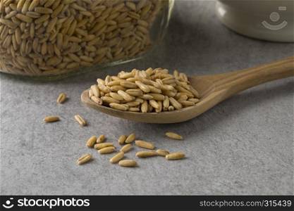 Wooden spoon with dried organic oat seeds close up