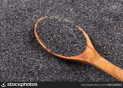 Wooden spoon with poppy seeds as a background
