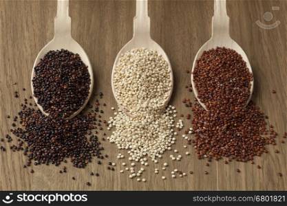 Wooden spoons with raw red, white and black quinoa