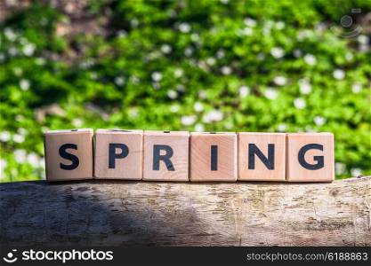 Wooden spring sign in a green forest on a log