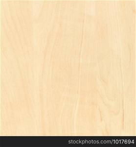 wooden square background - laminate board with pattern of birch wood