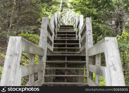Wooden staircase in Fundy National Park, Alma, New Brunswick, Canada