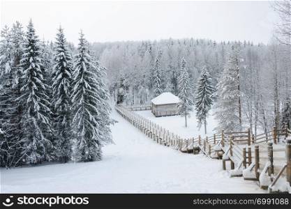 Wooden stairs through coniferous forest in the tourist complex Malye Korely near Arkhanglesk, Russia. Winter time.