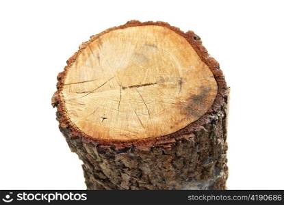 Wooden stump isolated on the white background