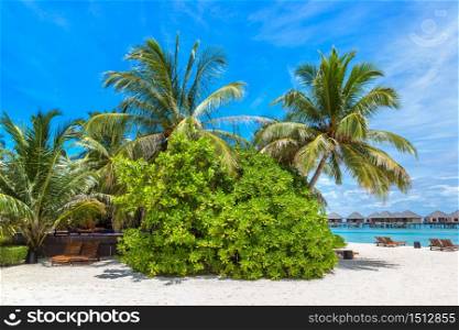 Wooden sunbed and umbrella on tropical beach in the Maldives at summer day