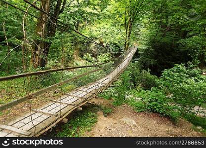 Wooden suspension bridge in wood