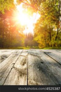 Wooden table in forest. Wooden table in autumn forest at sunset