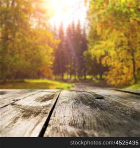 Wooden table in forest. Wooden table in autumn forest at sunset