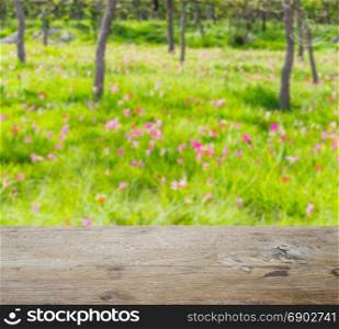 wooden table top with blur of pink siam tulip field as background