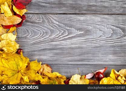 Wooden table with autumn leaves of different colors. Wooden table with autumn leaves