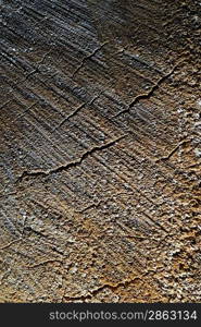 Wooden texture