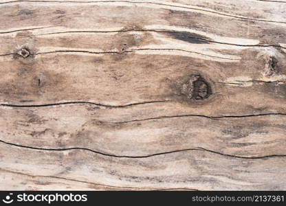 wooden texture background with