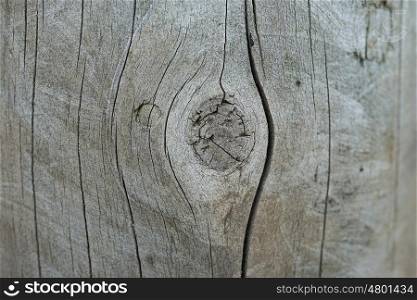wooden texture pattern