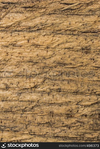 Wooden texture with natural patterns as a background