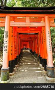 Wooden Torii Gates at Fushimi Inari Shrine, Kyoto, Japan