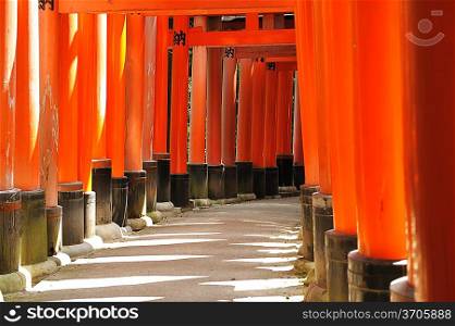 Wooden Torii Gates at Fushimi Inari Shrine, Kyoto, Japan