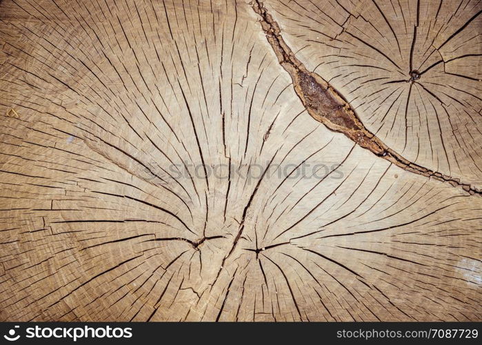 Wooden tree stump, background with wooden texture