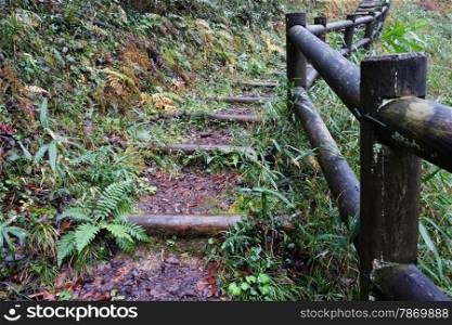 Wooden trunk steps in autumn forest for tourist footpath . Wooden trunk steps in autumn forest