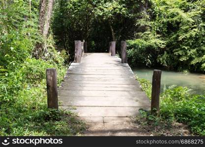 Wooden walkway bridge The walk into the forest area.