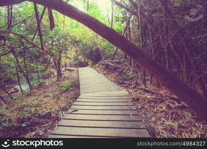 Wooden walkway in jungle along waterfalls in Thailand. Beautiful asian landscapes.