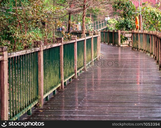 Wooden walkway trail through Cherry blossom garden in Taiwan.