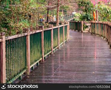 Wooden walkway trail through Cherry blossom garden in Taiwan.