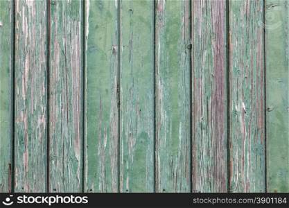 wooden wall of shed consisiting of green planks with peeling paint