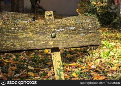 Wooden weathered grunge back of old bench closeup